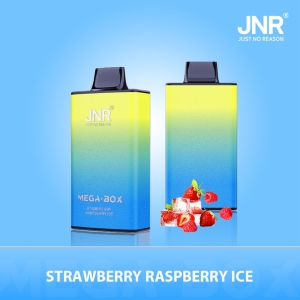 JNR® Mega Box 25K Redefining Disposable Vaping Excellence 7