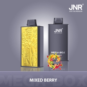 JNR® Mega Box 25K Redefining Disposable Vaping Excellence 21