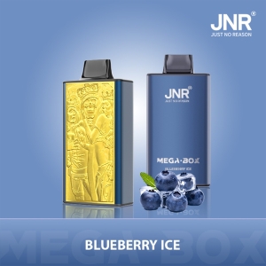 JNR® Mega Box 25K Redefining Disposable Vaping Excellence 29