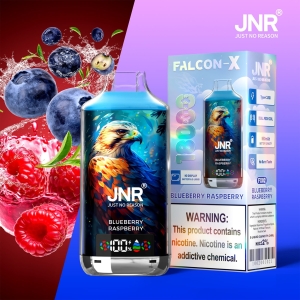 JNR® Falcon X 18000 Puffs of Premium Vaping in Bulk 48