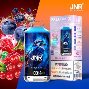 JNR® Falcon X 18000 Puffs of Premium Vaping in Bulk 22