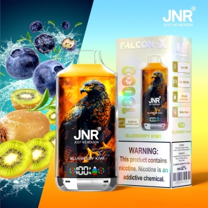 JNR® Falcon X 18000 Puffs of Premium Vaping in Bulk 12