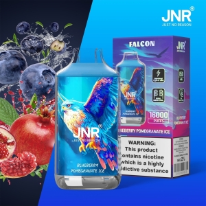 JNR® FALON 16000 16K Puffs Disposable Vape Original Design 12