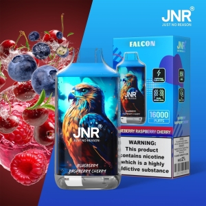 JNR® FALON 16000 16K Puffs Disposable Vape Original Design 14