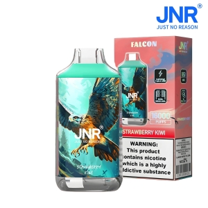 JNR® FALON 16000 16K Puffs Disposable Vape Original Design 35