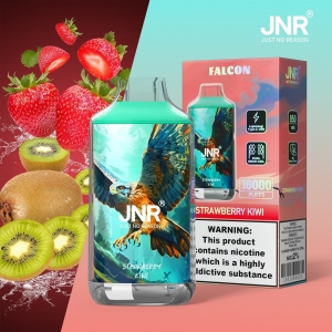 JNR® FALON 16000 16K Puffs Disposable Vape Original Design 36