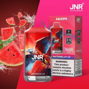 JNR® FALON 16000 16K Puffs Disposable Vape Original Design 42