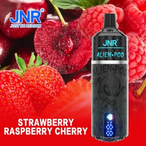 JNR® Alien Pod Disposable Vape 13,000 Puffs Nicotine Options, Wholesale Discounts 37