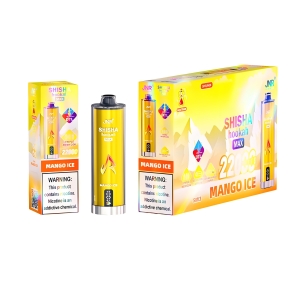 JNR® Shisha Hookah Max - 22000 Disposable Vape Multiple Flavors 24